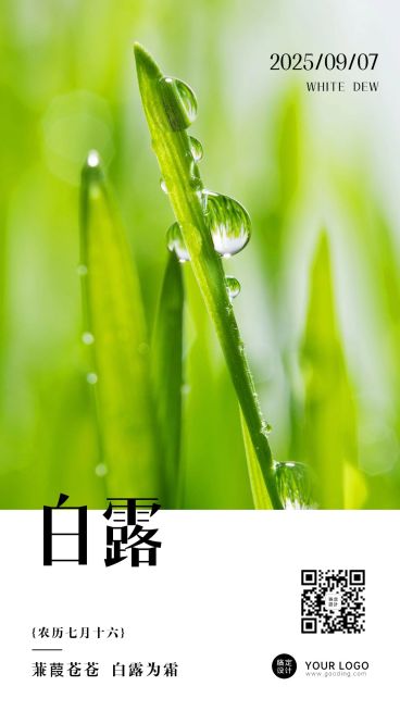 白露节气早安问候秋天养生手机海报预览效果