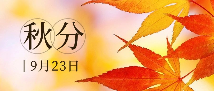 通用秋分节气祝福文艺感公众号首图预览效果