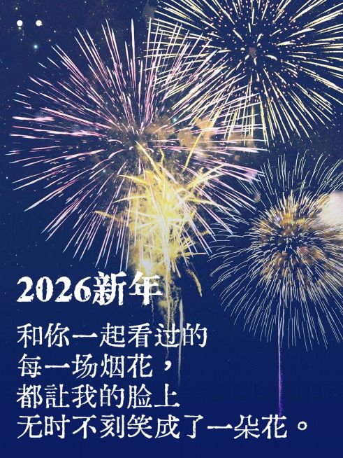 新年元旦节日祝福烟花秀小红书封面预览效果