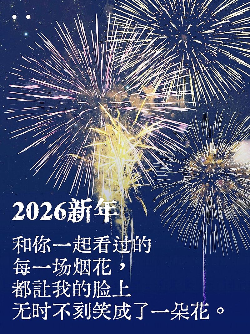 新年元旦节日祝福烟花秀小红书封面