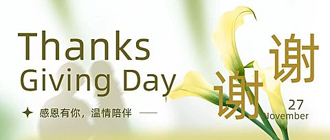 感恩节清新文艺花朵感谢祝福公众号首图