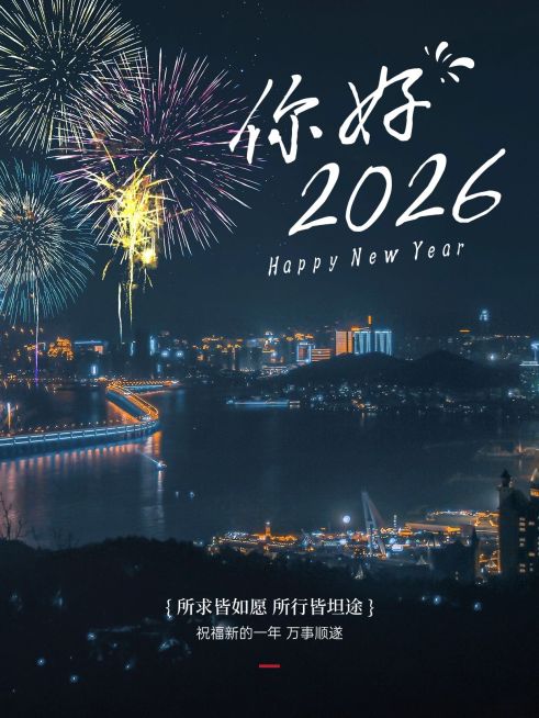 元旦新年节日祝福小红书配图预览效果