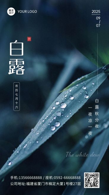 白露节气祝福企业节气问候实景排版手机海报预览效果