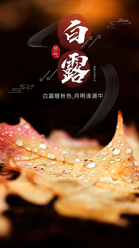 白露枫叶实景手机海报