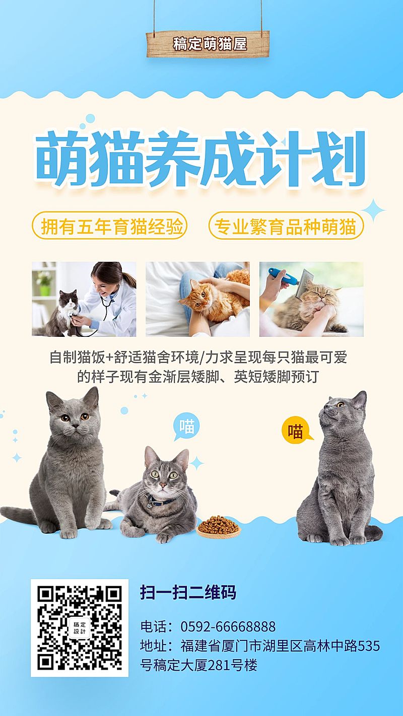 萌猫养成计划卡通可爱手机海报
