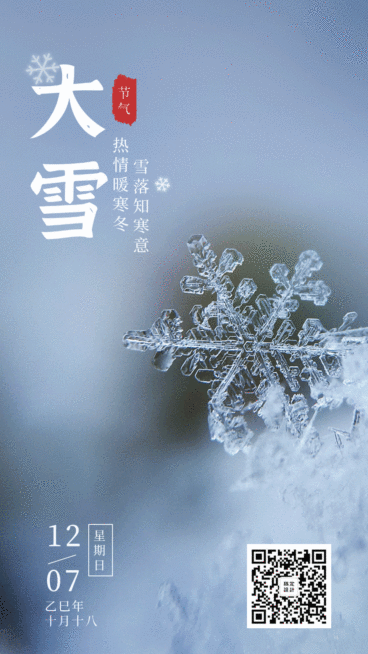 大雪简约创意插画实景动态海报预览效果