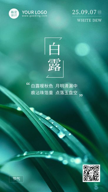 白露节气祝福问候实景手机海报预览效果