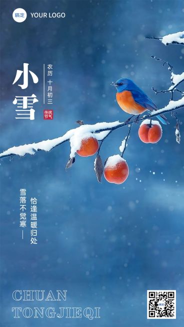新媒体小雪节气祝福手机海报排版预览效果