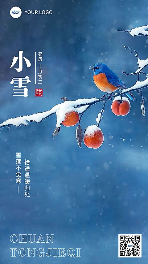 新媒体小雪节气祝福手机海报排版