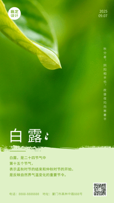 白露节气实景GIF手机海报预览效果
