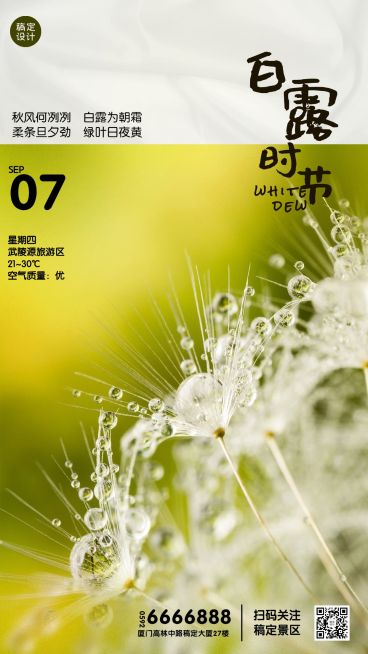 旅游出行白露节气祝福清新手机海报预览效果
