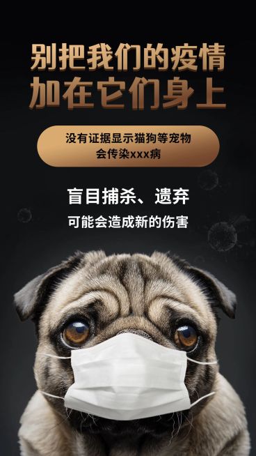 公益宣传辟谣保护动物宣传手机海报预览效果