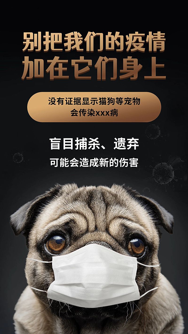 公益宣传辟谣保护动物宣传手机海报