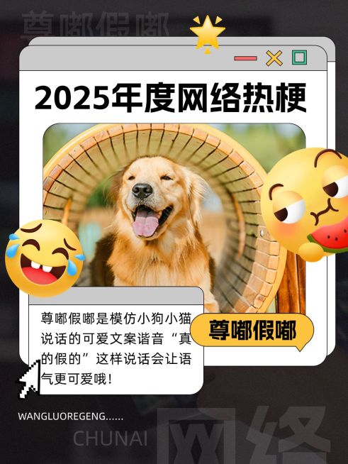 年终年度热词趣味网络热梗套系小红书配图预览效果
