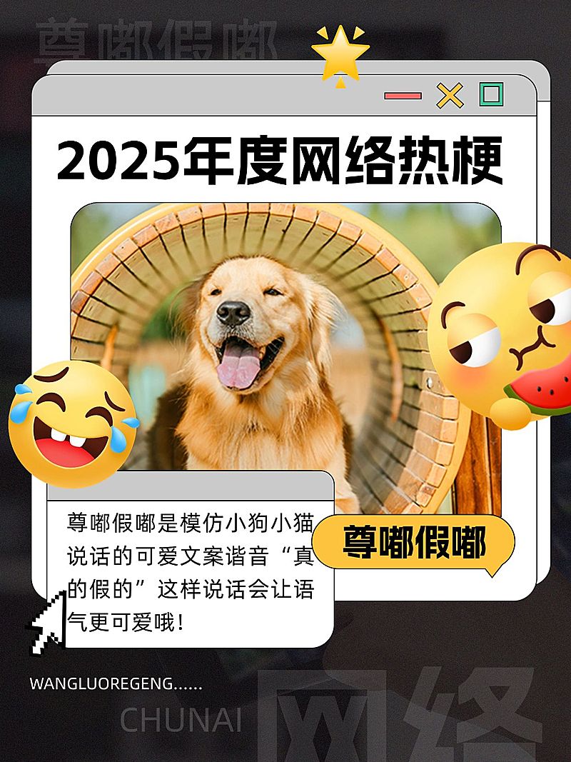 年终年度热词趣味网络热梗套系小红书配图