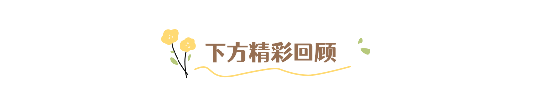 小黄花小清新动态分割线预览效果