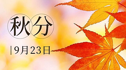 通用秋分节气祝福文艺感banner