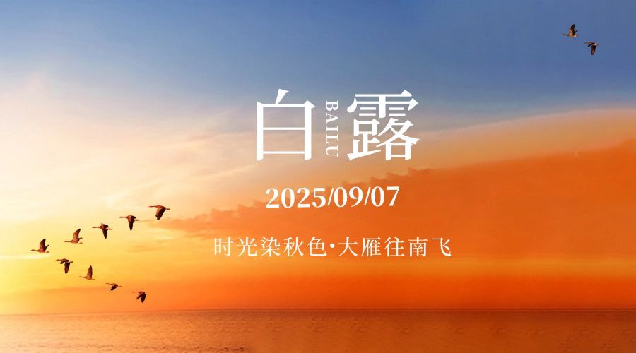 白露节气祝福实景白鹭横版海报预览效果