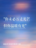 模板缩略图