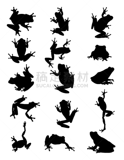 青蛙,动物,箭毒蛙,可爱的,有毒物质,野生动物,池塘,自然美,品牌名称,剪影