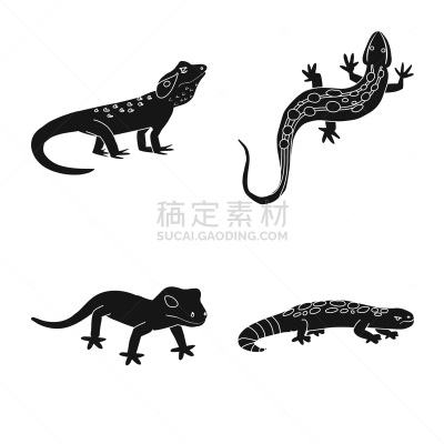 环境,动物园,品牌名称,野生动物,哺乳纲,蜥蜴,动物,飞龙科蜥蜴,尾巴,着色