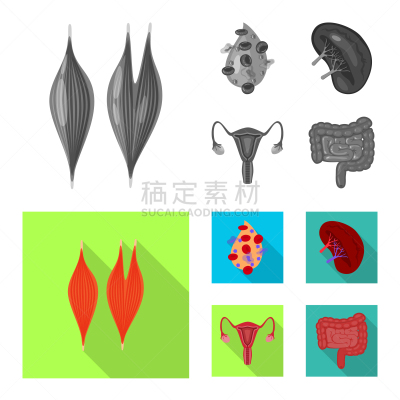 生物学,科学,标志,静脉滴注,健康保健,植物群,空肠,顺序,人类消化系统,研究