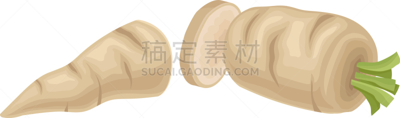 切片食物,荷兰防风草,根部,一个物体,两个物体,横截面,农业,蔬菜,素食,清新