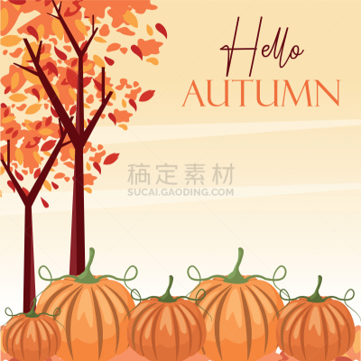 季节,秋天,你好,景象,森林,南瓜,可爱的,九月,自然,十月