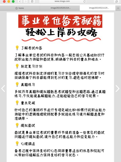 教育事业单位备考攻略手帐风小红书内页预览效果