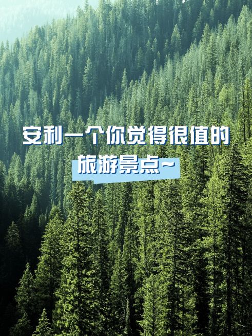 2412MB-小红书母版-指派汪汪预览效果