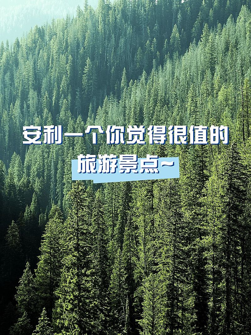 2412MB-小红书母版-指派汪汪