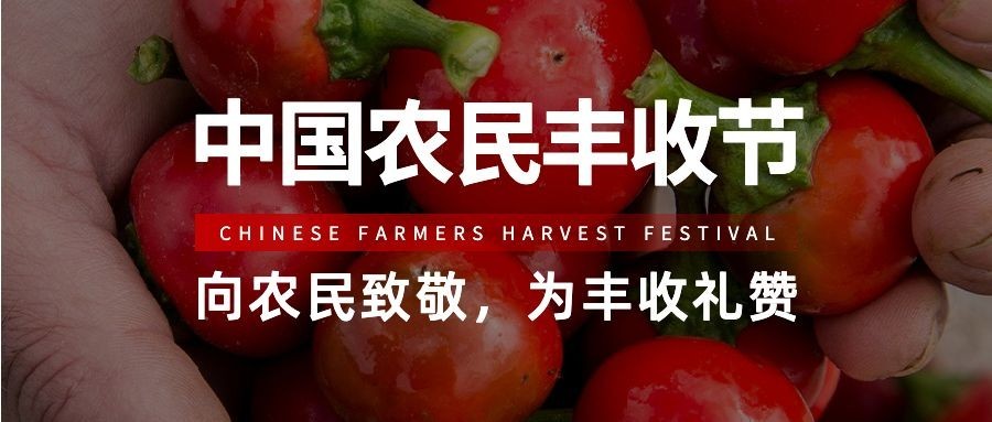 通用农民丰收节祝福实景公众号首图