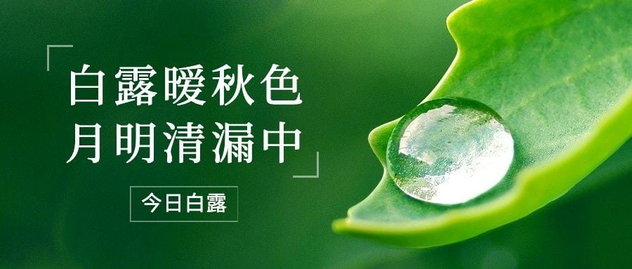 白露节气祝福露珠绿叶公众号首图