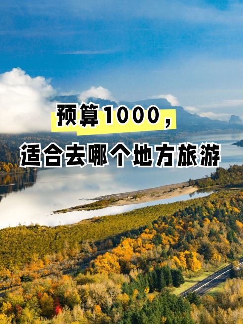 2412MB-小红书母版-指派汪汪预览效果