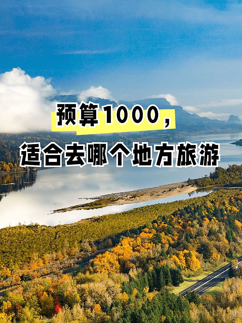 2412MB-小红书母版-指派汪汪