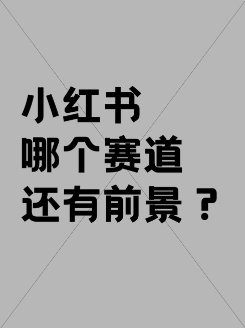 2412MB-小红书母版-指派歪歪预览效果