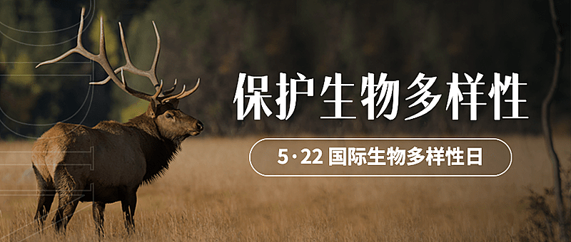 国际生物多样性日公众号首图