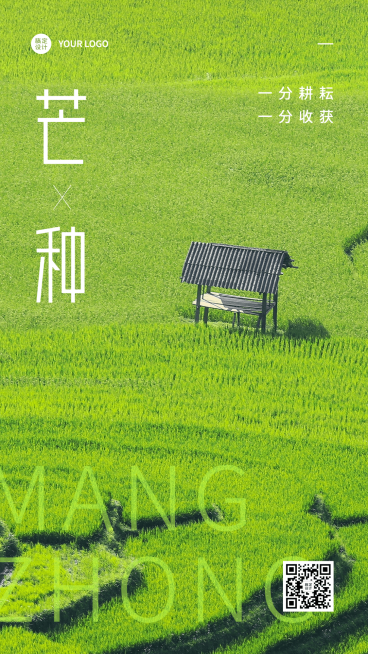 芒种节气祝福排版手机海报预览效果