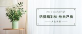 模板缩略图