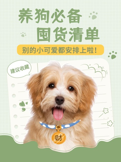 宠物知识科普小红书封面预览效果