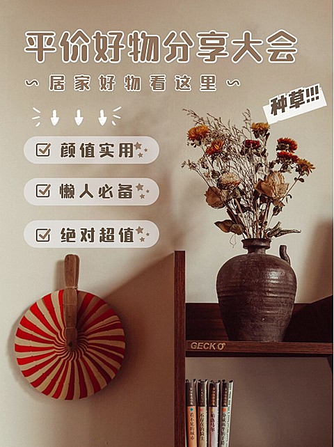 家居百货好物推荐实景小红书配图