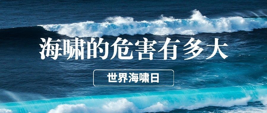 世界海啸日自然灾害知识科普实景公众号首图预览效果