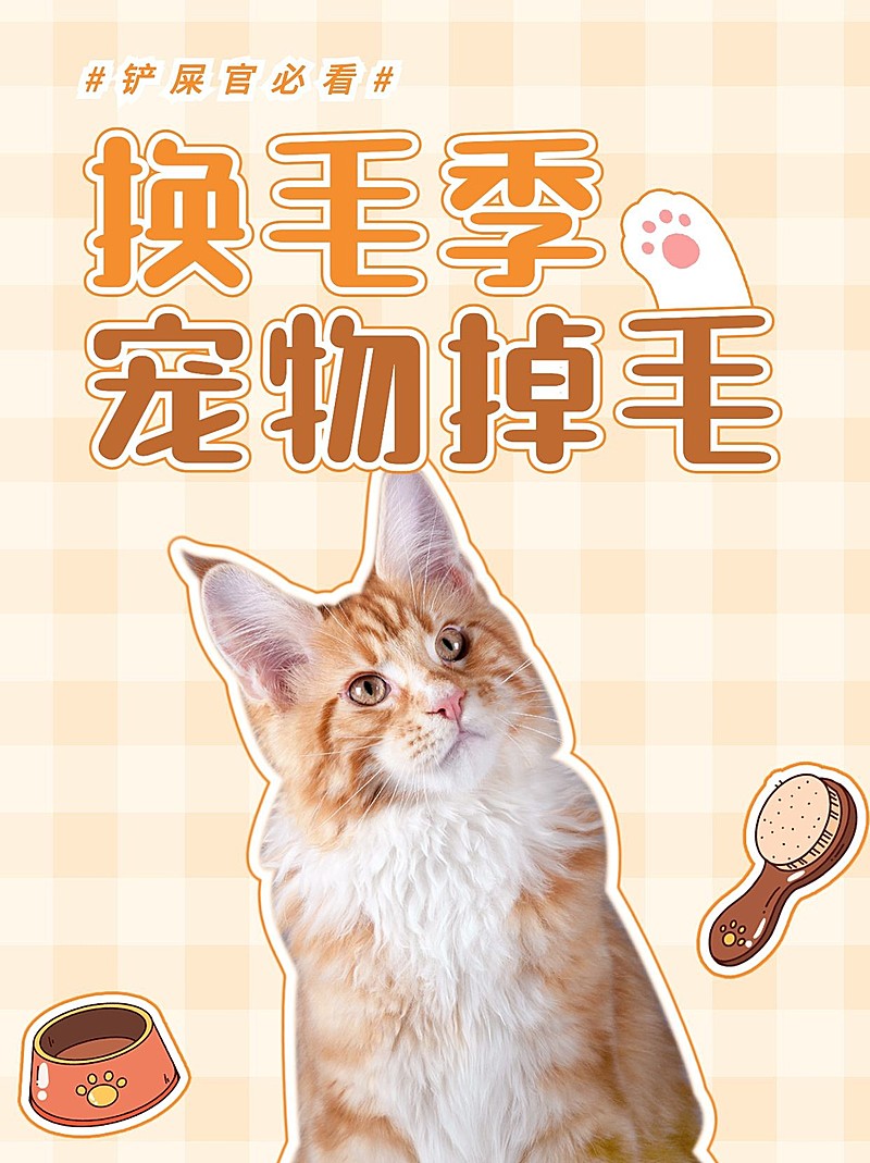 宠物知识科普小红书封面