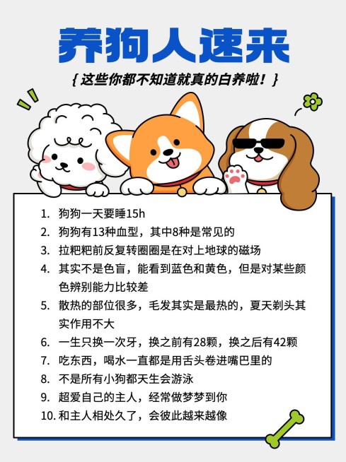 宠物知识科普百科小红书套装小红书配图预览效果