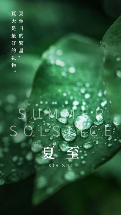 夏至节气祝福问候清新实景手机海报
