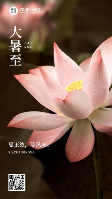大暑节气祝福实景排版手机海报预览效果