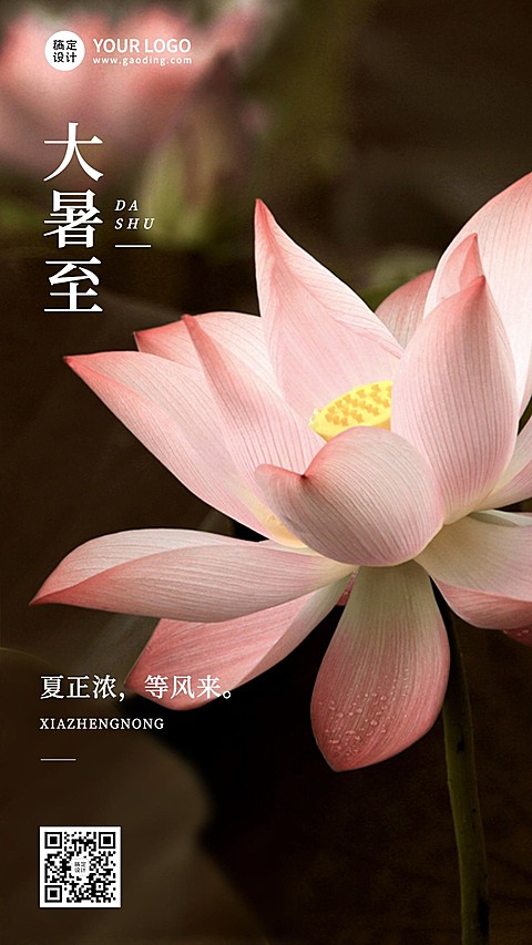大暑节气祝福实景排版手机海报