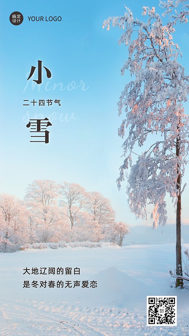 小雪节气祝福实景简约手机海报