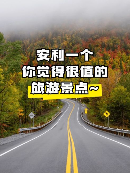 2412MB-小红书母版-指派汪汪预览效果