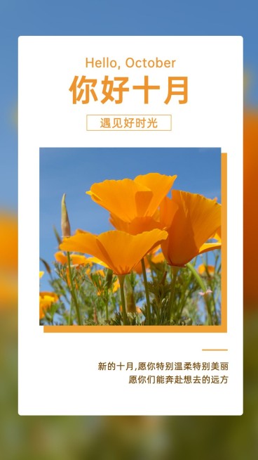 通用10月你好晒照实景手机海报预览效果